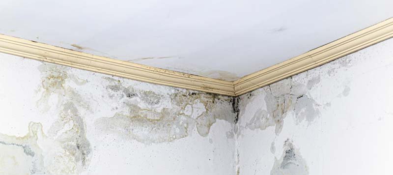 Infiltration d'eau sur le plafond