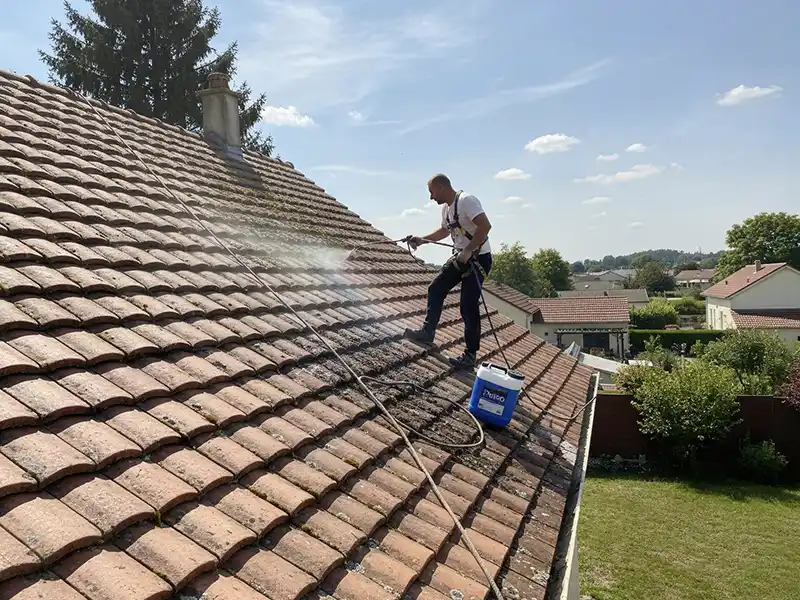 Un couvreur portant un harnais pulv&eacute;rise une solution de nettoyage sur un toit de tuiles rouges, en train d'effectuer un nettoyage toiture avec des produits adapt&eacute;s. Ils se tiennent sur le toit en pente sous un ciel ensoleill&eacute;, avec des maisons et de la verdure en arri&egrave;re-plan.